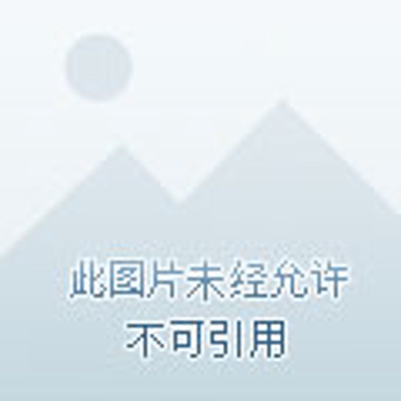 你是否曾经好奇，去一趟洗牙诊所，到底要花费多久时间？本文将通过故事化的叙述手法，带你深入了解牙齿清洁背后的故事。
